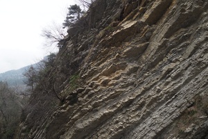 P3277351.JPG