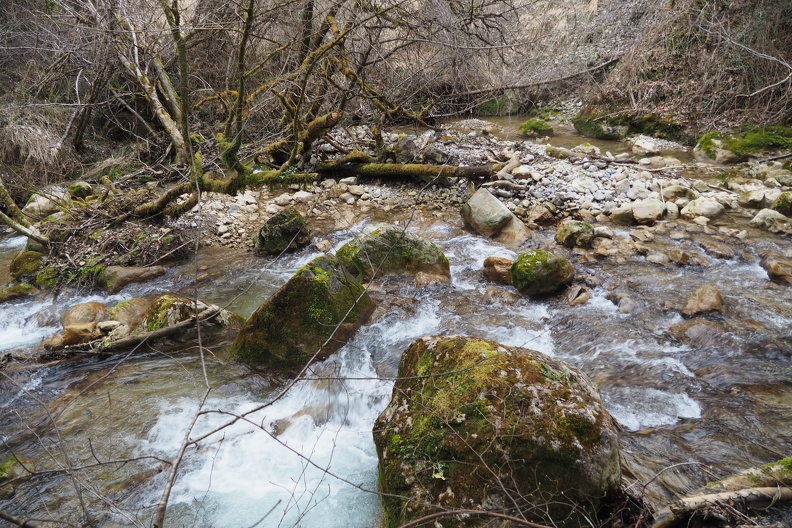 P3277511.JPG