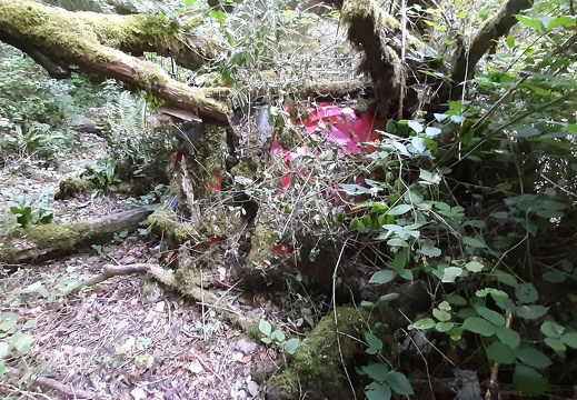 Quaix route de St Egrève décharge 2 bas