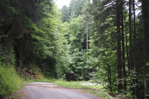 P6271320