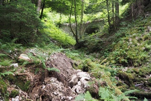 P6271321
