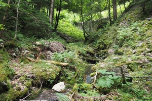 P6271324