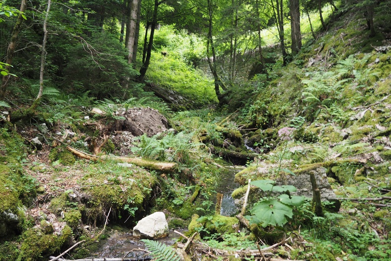 P6271324.JPG