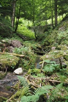 P6271325