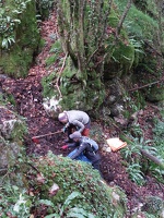 Chartreuse propre 13 Tenaison Proveysieux 2025-09-27