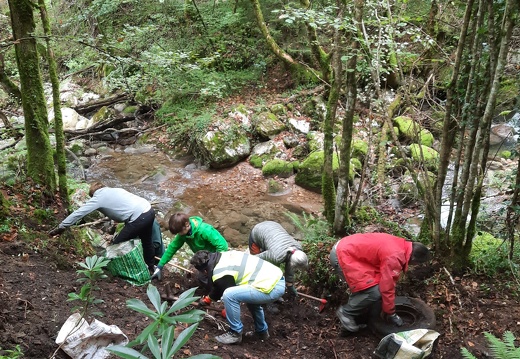 Le Tenaison à Proveysieux