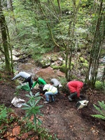 Chartreuse propre 23 Tenaison Proveysieux 2025-09-27