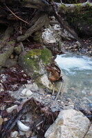 PB047598.JPG