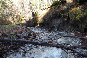 PB047600.JPG