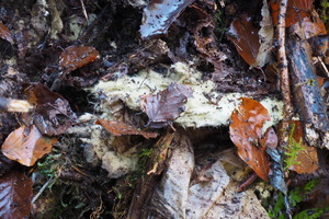 PB047605.JPG