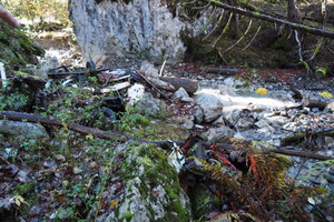 PB047612.JPG