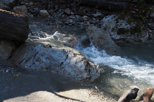 PB047619.JPG