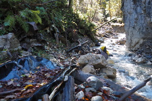 PB047624.JPG