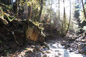 PB047629.JPG