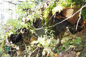 PB047637.JPG