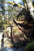 PB047643.JPG