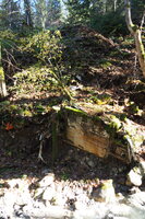 PB047652.JPG