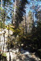 PB047653.JPG