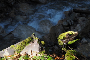 PB047674.JPG