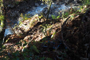 PB047675.JPG