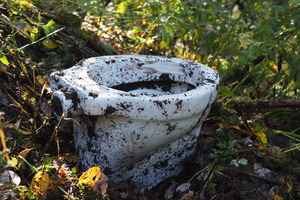 PB047680.JPG