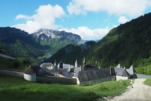 P5124563.JPG