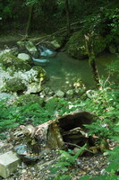 P5294922.JPG