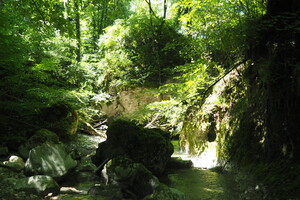P5294930.JPG