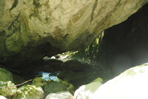 P5294941.JPG