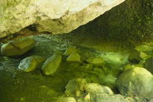 P5294942.JPG
