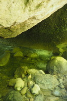 P5294944.JPG