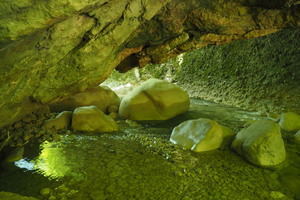 P5294946.JPG