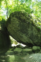 P5294957.JPG
