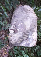 20260806 185222