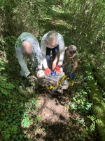 Image (1)